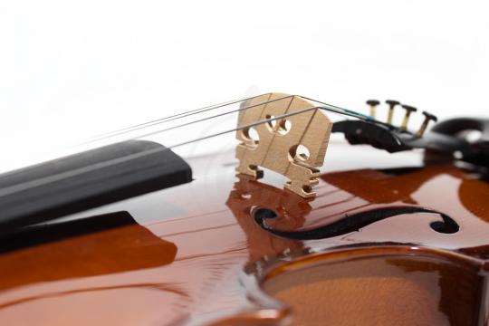 Скрипка 1/8 Aileen VG107M-1/8 - скрипка, размер 1/8 - фото 11