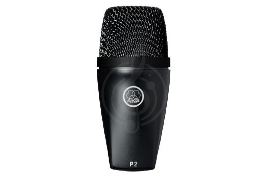 Изображение AKG P2 - Инструментальный микрофон