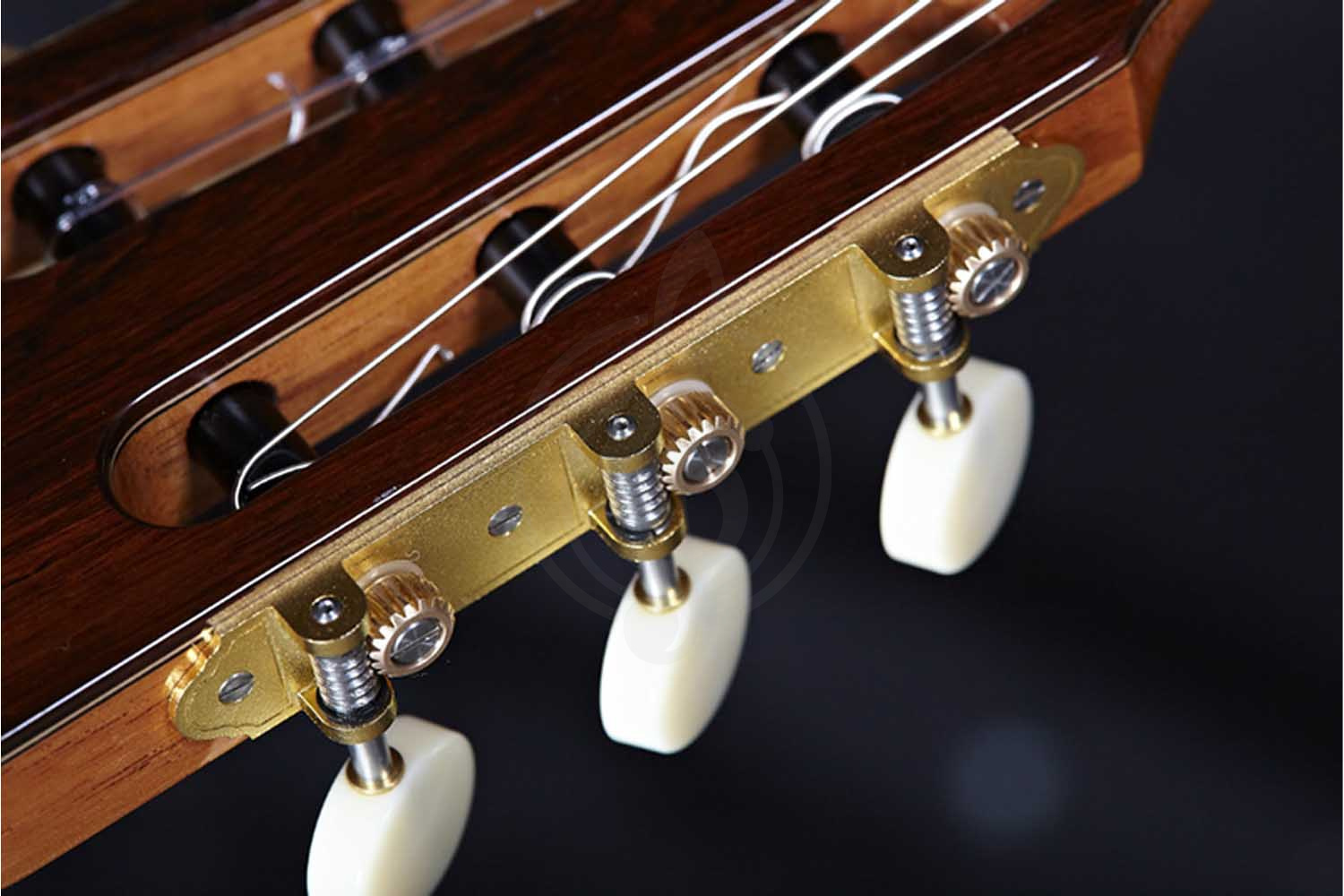 Классическая гитара 4/4 Alhambra 250 Jose Miguel Moreno Serie C - Классическая гитара, с футляром - фото 10