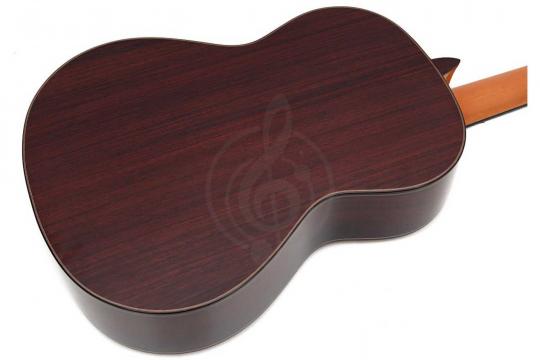 Классическая гитара 4/4 Alhambra 250 Jose Miguel Moreno Serie C - Классическая гитара, с футляром - фото 14