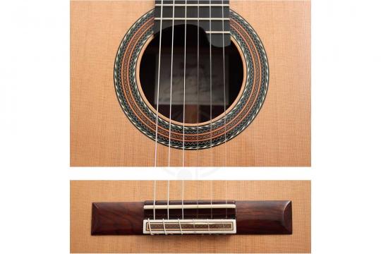 Классическая гитара 4/4 Alhambra 250 Jose Miguel Moreno Serie C - Классическая гитара, с футляром - фото 15