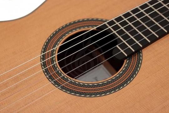 Классическая гитара 4/4 Alhambra 250 Jose Miguel Moreno Serie C - Классическая гитара, с футляром - фото 16