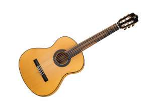 Изображение Классическая гитара Alhambra 8.896 Green Sustain Flamenco