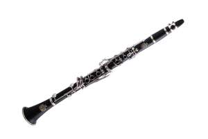 Изображение Кларнет Amati ACL211