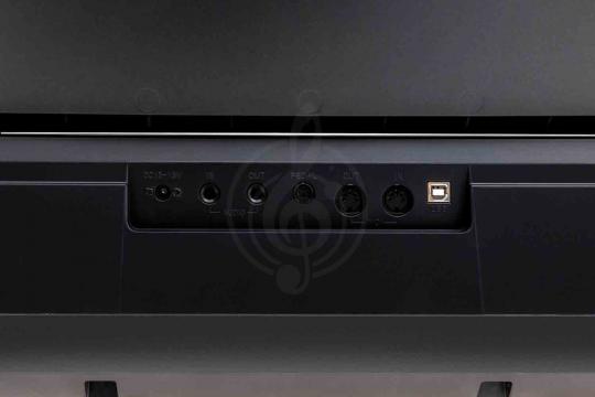 Цифровое пианино ARAMIUS APH-120 BK - Цифровое пианино - фото 7