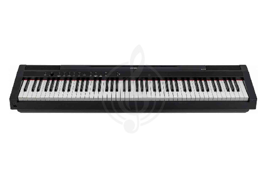 Цифровое пианино ARAMIUS APH-120 BK - Цифровое пианино - фото 1
