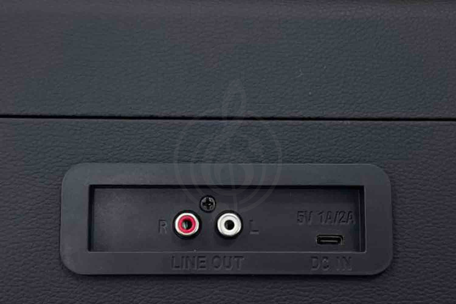 Виниловый проигрыватель Aria Vinyl VRP-1 BK - Виниловый проигрыватель - фото 4