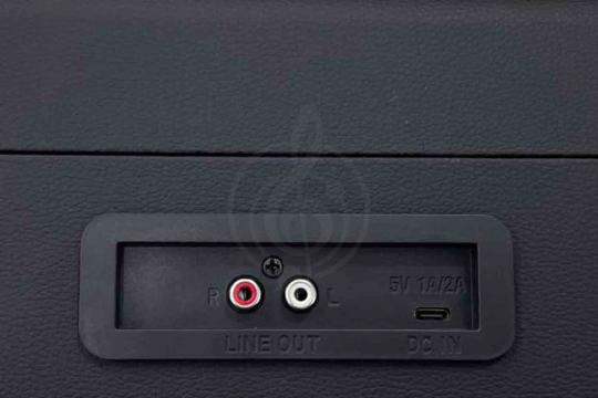 Виниловый проигрыватель Aria Vinyl VRP-1 BK - Виниловый проигрыватель - фото 4