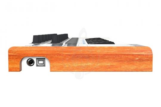 MIDI-клавиатура Arturia MiniLab - Миди-клавиатура - фото 2