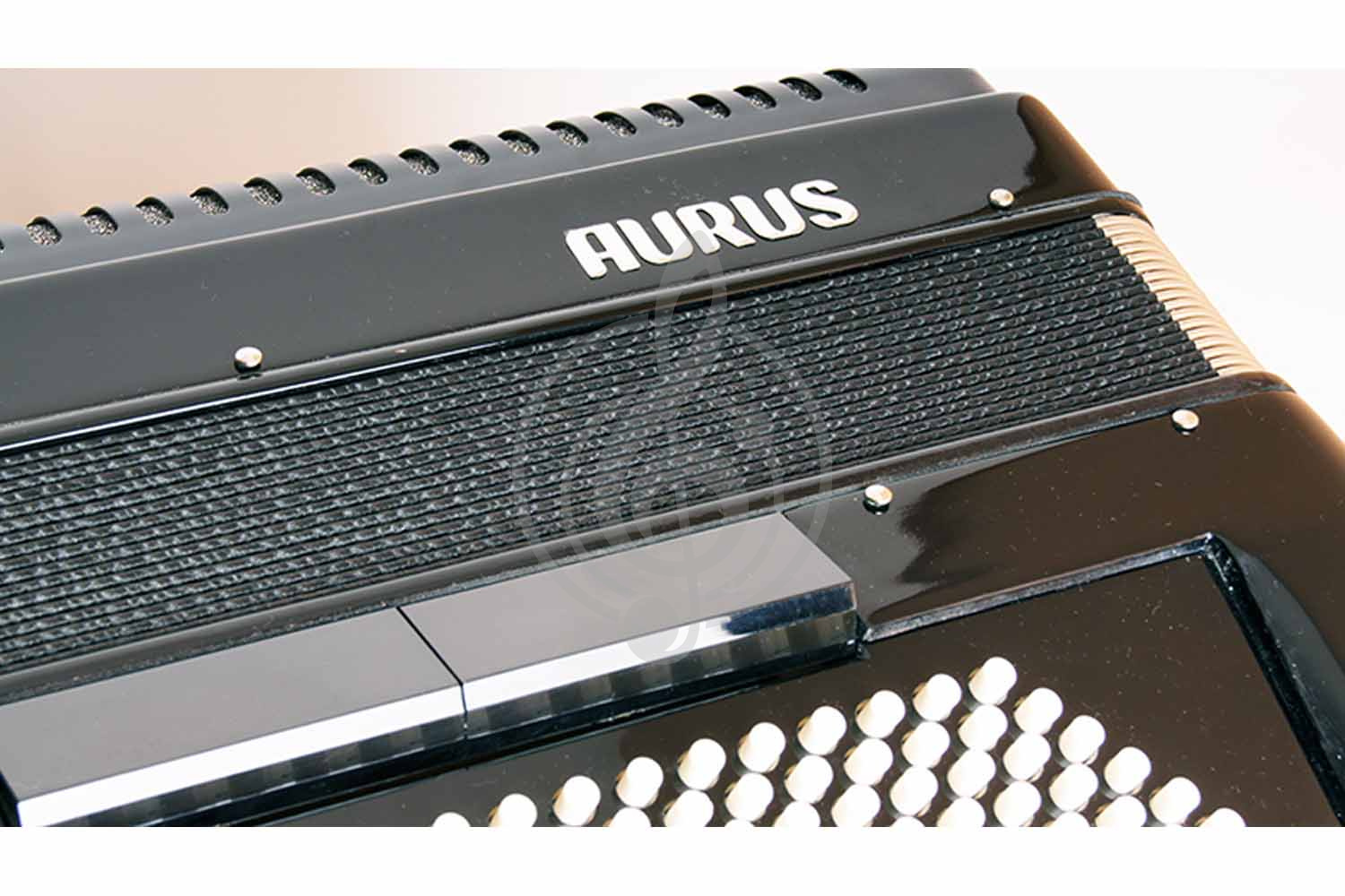 Аккордеон 4/4 Aurus JH2008D-B 41/120/7+2 - Аккордеон - фото 2