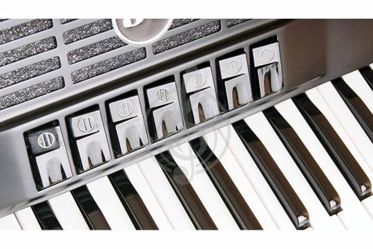 Аккордеон 4/4 Aurus JH2008D-B 41/120/7+2 - Аккордеон - фото 4