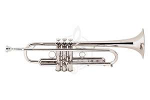 Изображение BACH C180SL229PC - Труба C