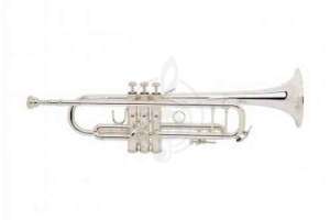 Изображение BACH LR190 43B Stradivarius