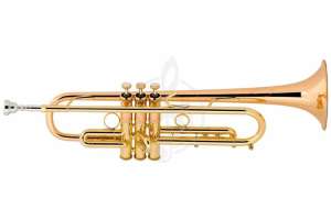Изображение BACH LT1901B Stradivarius - Труба Bb