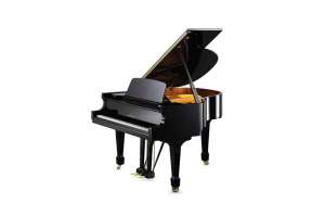 Изображение Акустический рояль Bechstein B 160 BLP