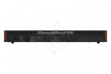 Аналоговый синтезатор BEHRINGER DEEPMIND 12 - Синтезатор аналоговый - фото 2