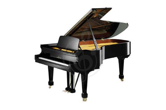 Изображение Акустический рояль Bechstein A 228 BLP