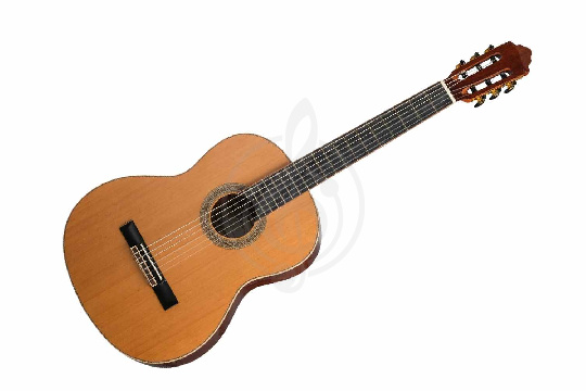 Классическая гитара 4/4 Caraya SCS-826 - Классическая гитара - фото 1