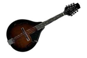 Изображение Caraya SMA-006