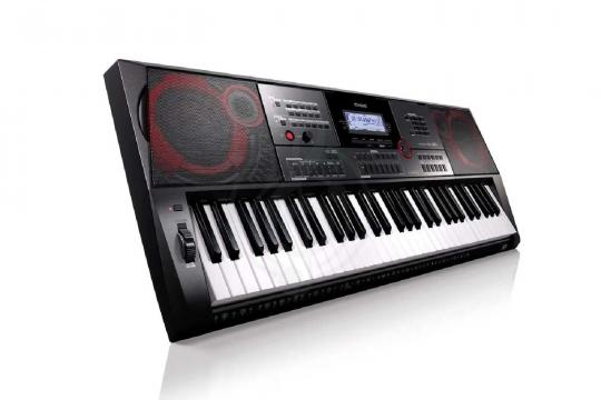 Синтезатор CASIO CT-X3000 - Синтезатор - фото 4