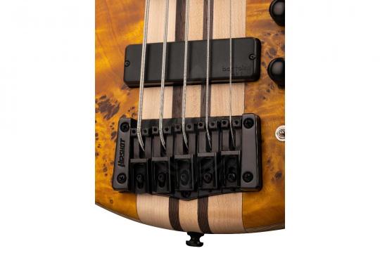 Бас-гитара Cort A5-Plus-SC-AOP Artisan Series - Бас-гитара - фото 