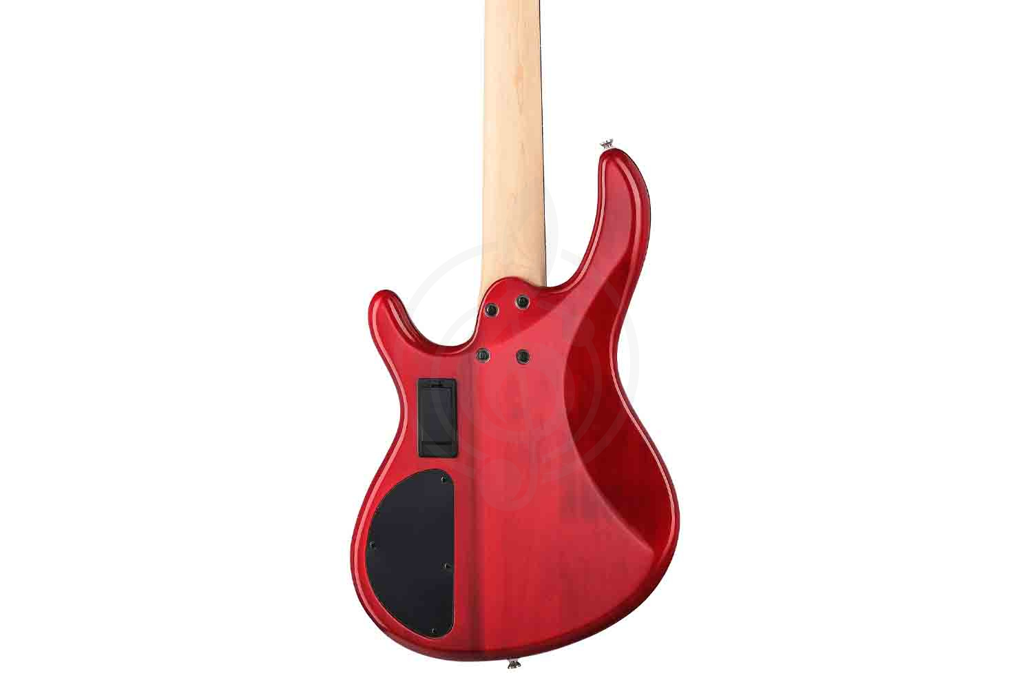 Бас-гитара Cort Action-Bass-V-Plus-WBAG-TR Action Series - Бас-гитара 5-струнная - фото 4