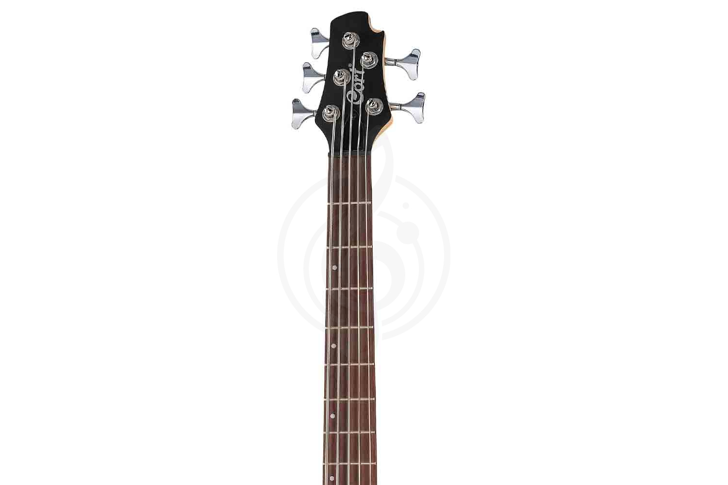 Бас-гитара Cort Action-Bass-V-Plus-WBAG-TR Action Series - Бас-гитара 5-струнная - фото 6