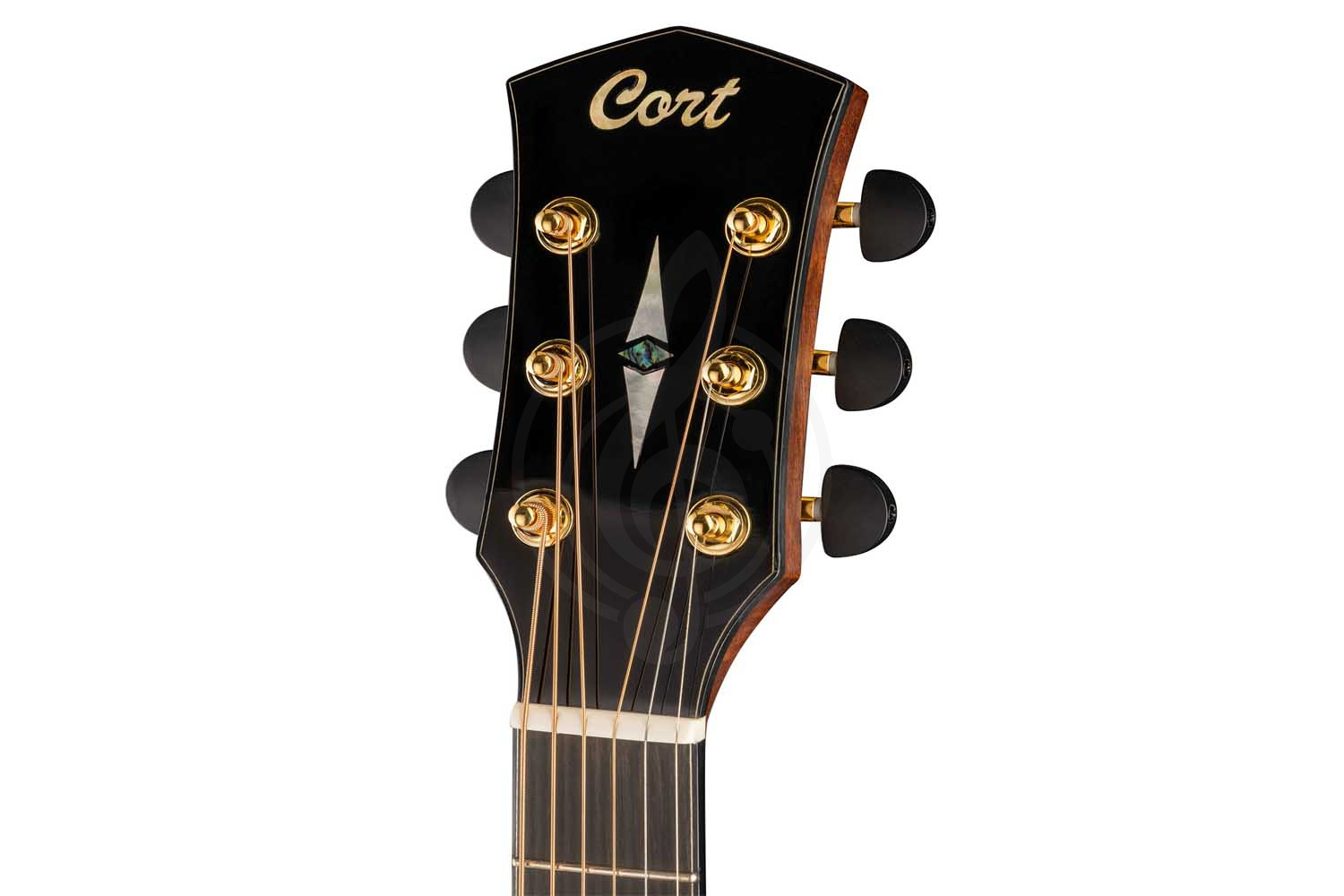 Электроакустическая гитара Cort Cut-Craft-Limited-WCASE-N Limited Edition - Электроакустическая гитара - фото 4