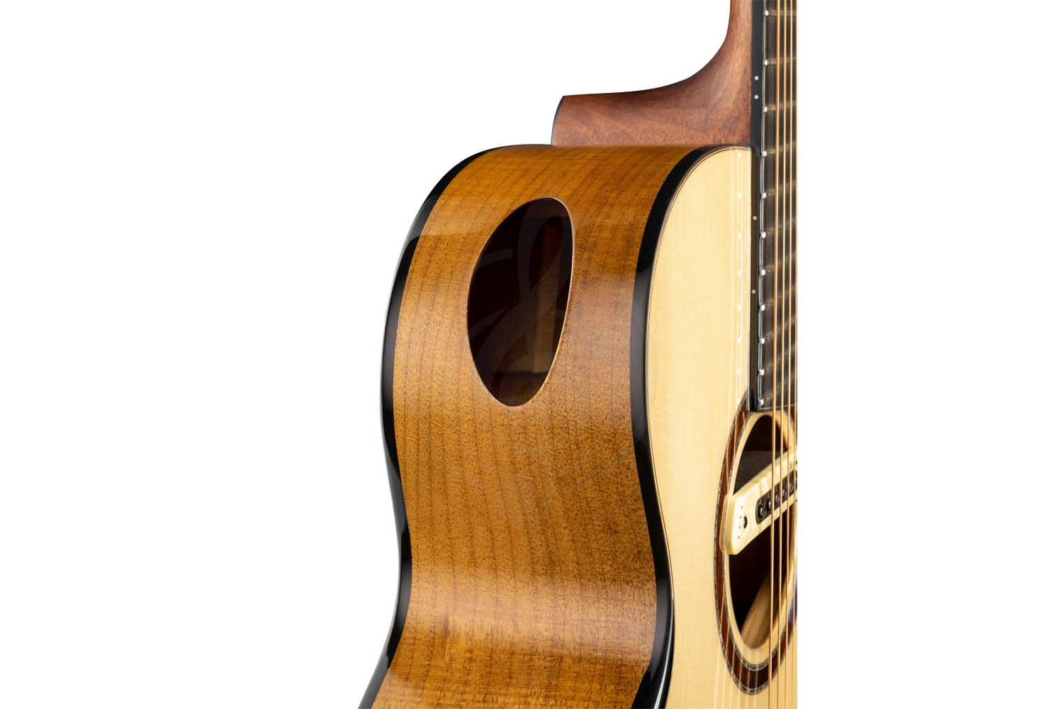 Электроакустическая гитара Cort Cut-Craft-Limited-WCASE-N Limited Edition - Электроакустическая гитара - фото 5