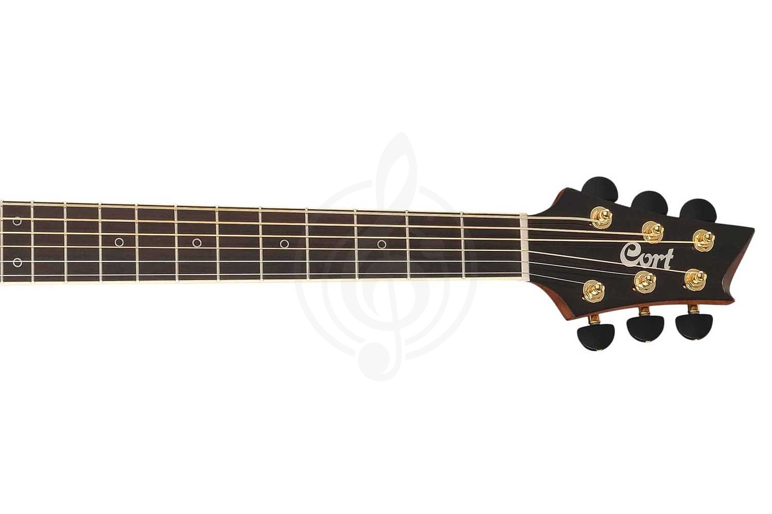 Электроакустическая гитара Cort DX-50-NAT NDX Series - Электроакустическая гитара - фото 10