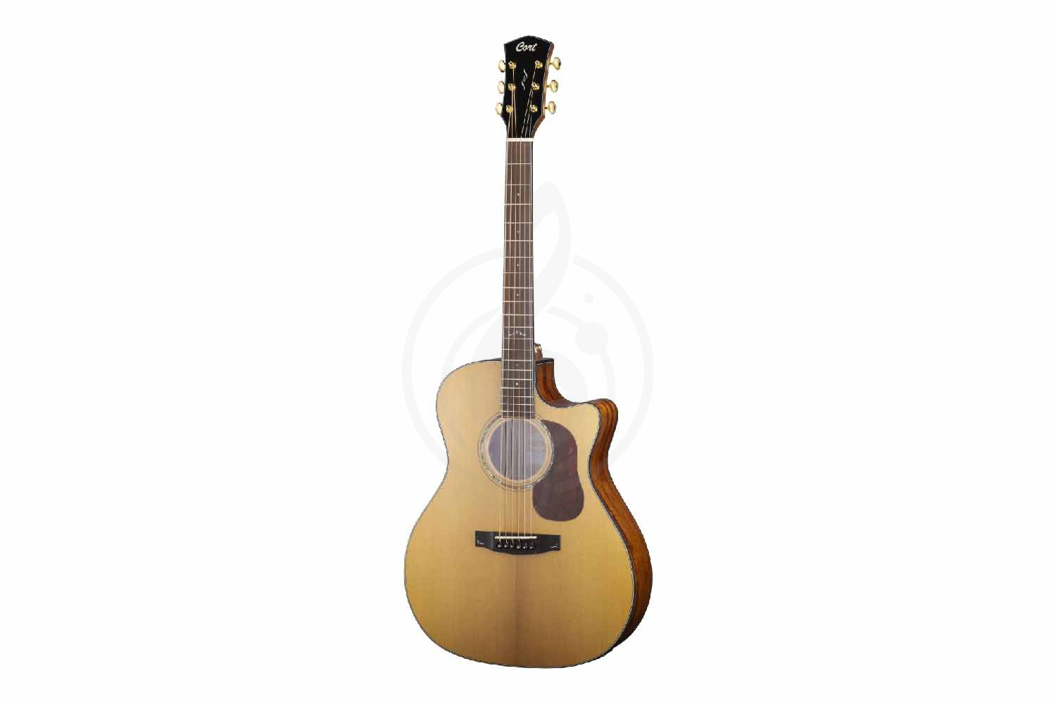 Электроакустическая гитара Cort Gold-A6-WCASE-NAT Gold Series - Электроакустическая гитара - фото 2
