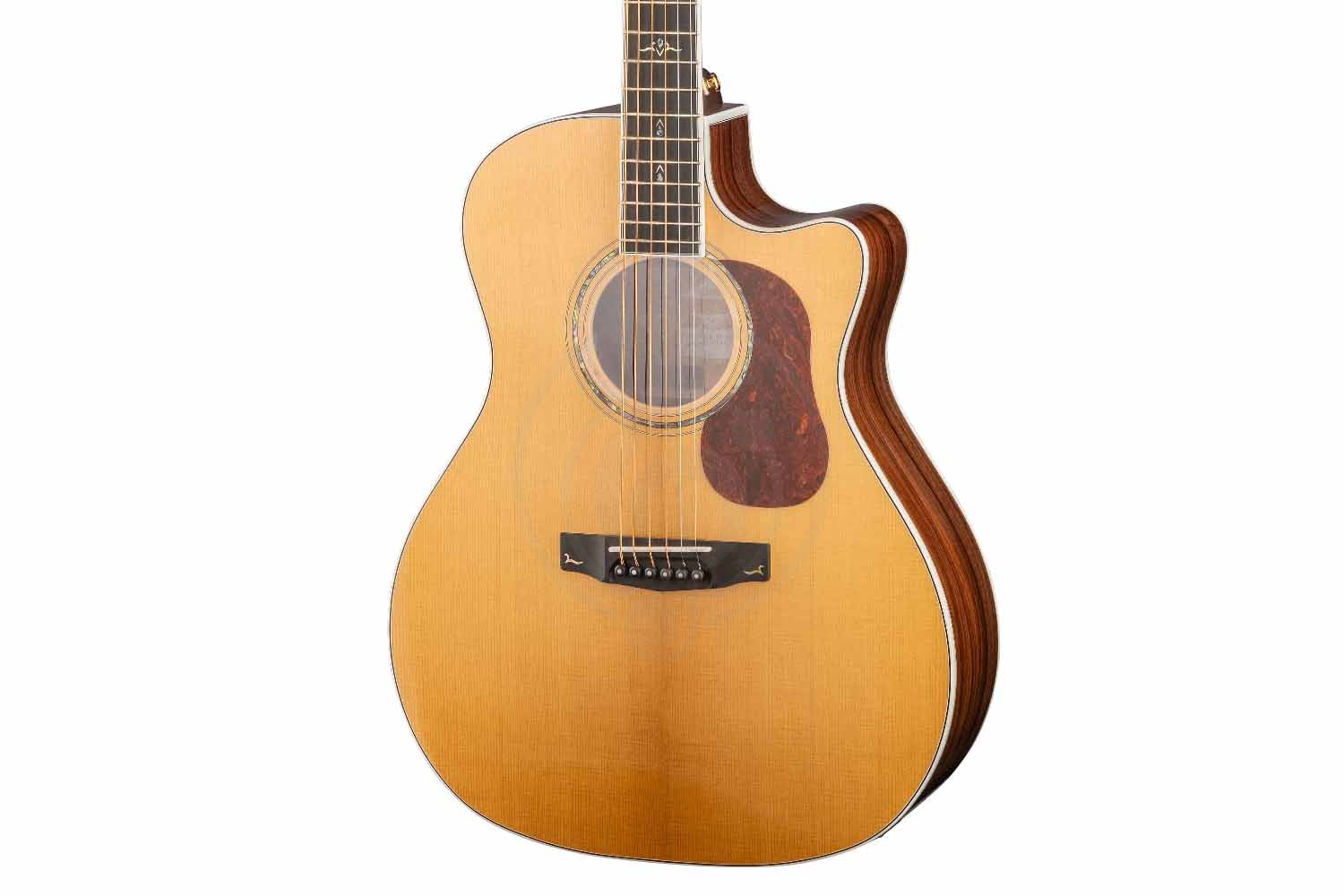 Электроакустическая гитара Cort Gold-A8-WCASE-NAT Gold Series - Электроакустическая гитара - фото 7