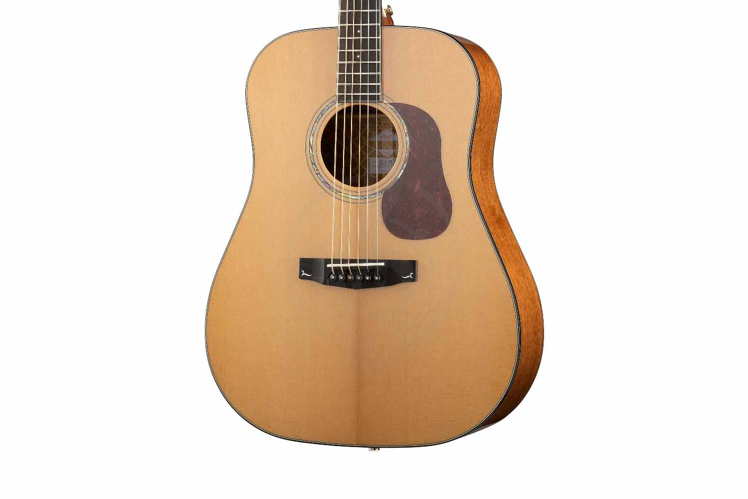 Акустическая гитара Cort GOLD-D6-WCASE-NAT Gold Series - Акустическая гитара - фото 2