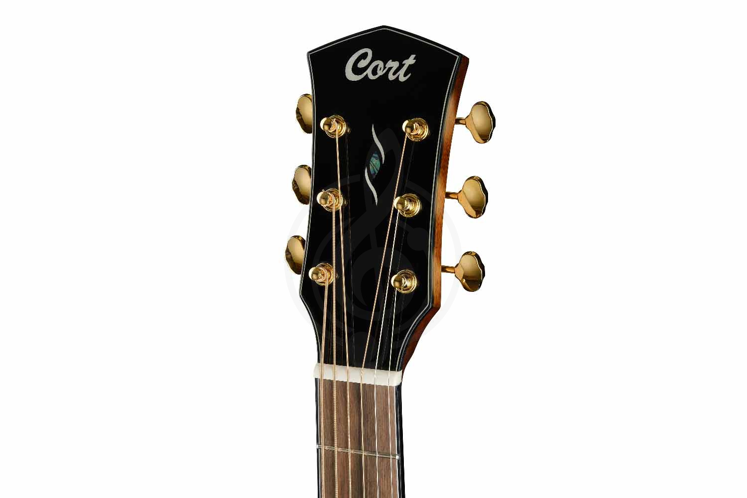 Электроакустическая гитара Cort Gold-OC6-Bocote-WCASE-NAT Gold Series - Электроакустическая гитара - фото 8