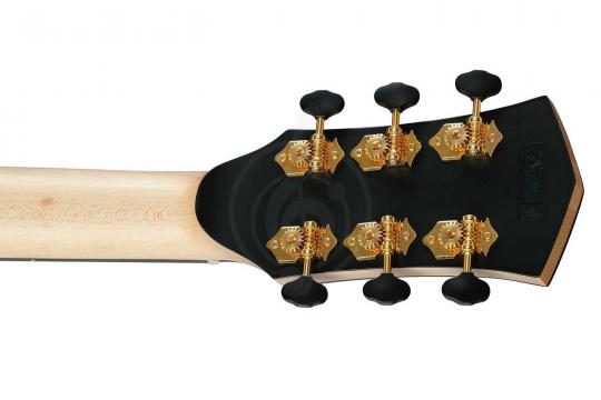 Электроакустическая гитара Cort Gold-Passion-WCASE-NAT Gold Series - Электроакустическая гитара - фото 14