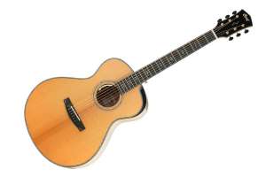 Изображение Электроакустическая гитара Cort Gold-Passion-WCASE-NAT Gold Series