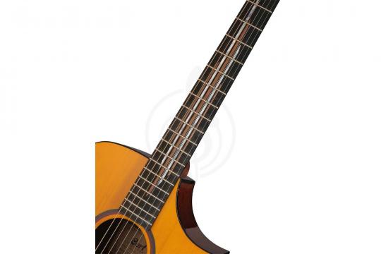 Электроакустическая гитара Cort LUXE-II-WCASE-NAT Frank Gambale Series - Электро-акустическая гитара - фото 8