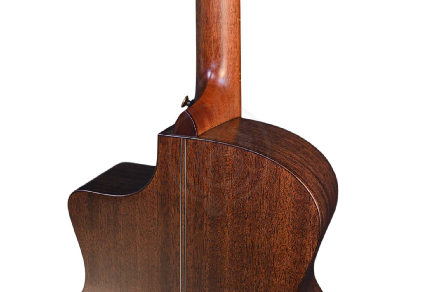 Электроакустическая гитара CRAFTER MIND W PREMIUM Te - Гитара электроакустическая - фото 2