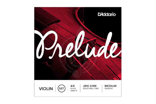 Струны для скрипки D`Addario J810-4/4M PRELUDE Комплект струн для скрипки - фото 1