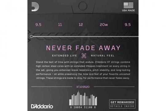 D'Addario XTJ09520 XT - Cтруны для 5-струнного банджо - фото 2 Струны для банджо D'Addario XTJ09520 XT - Cтруны для 5-струнного банджо - фото 2