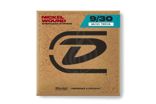Струны для банджо Dunlop DJN0930 - Струны для банджо - фото