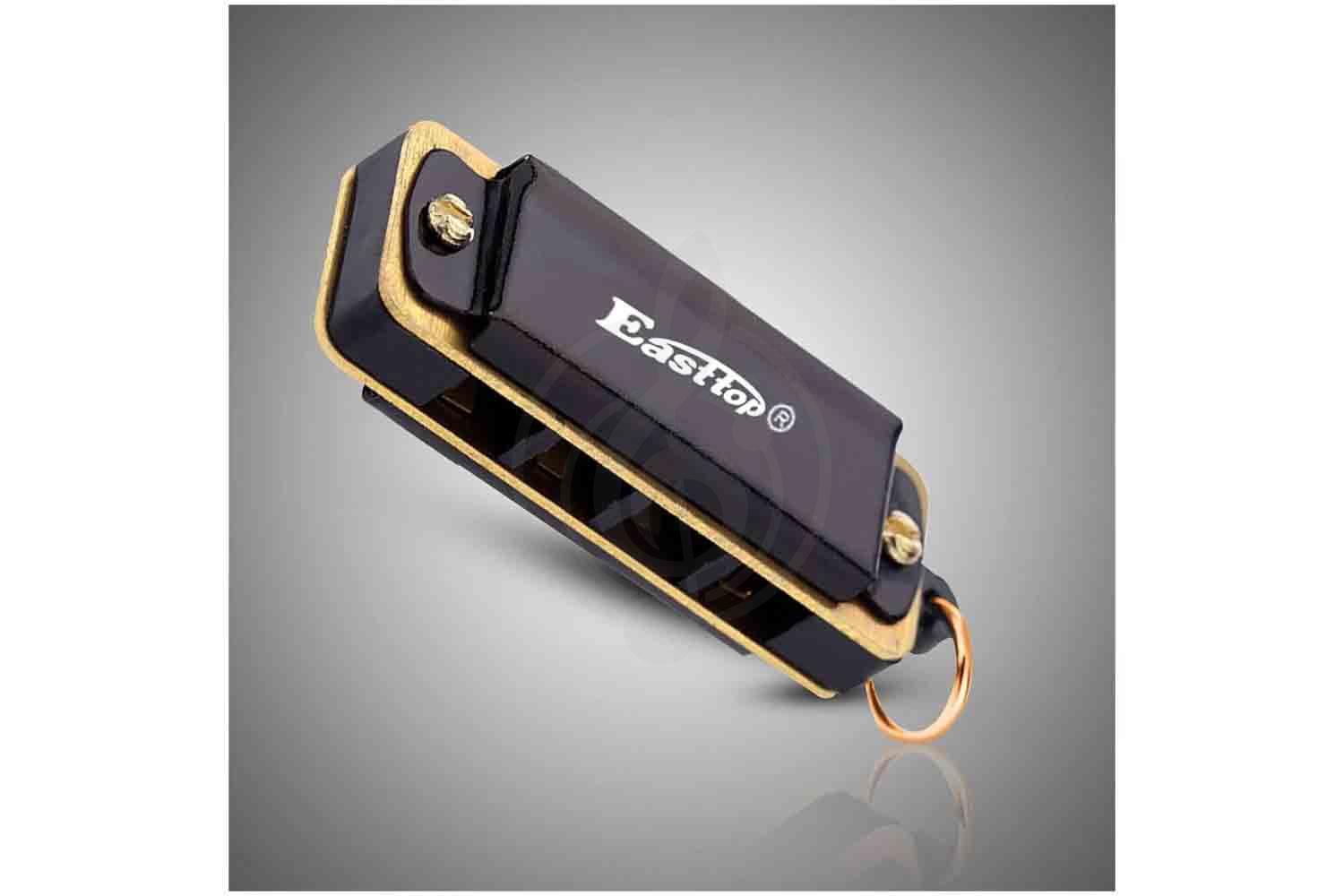 Детская губная гармошка EASTTOP DF4S BLACK - Уменьшенная гармошка - фото 4