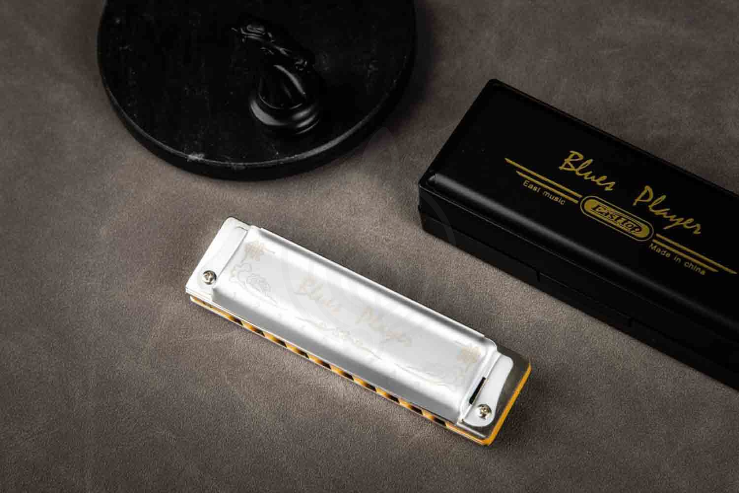 Диатоническая губная гармошка EASTTOP PR020 2.0 Bb - Диатоническая губная гармошка - фото 5