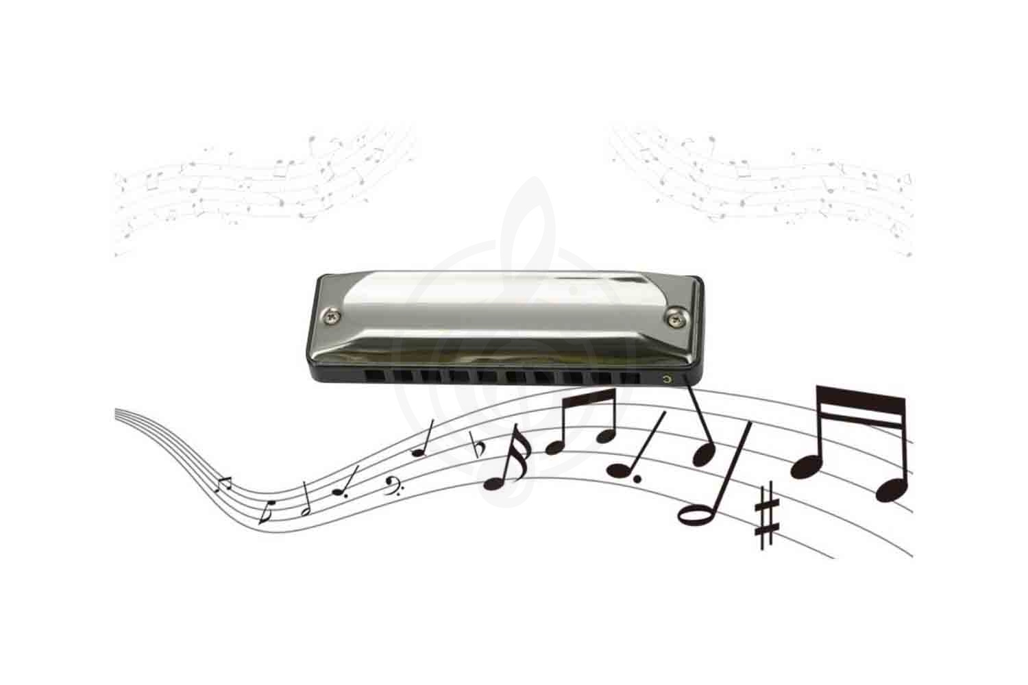 Диатоническая губная гармошка EASTTOP T002 G - Диатоническая губная гармошка - фото 4