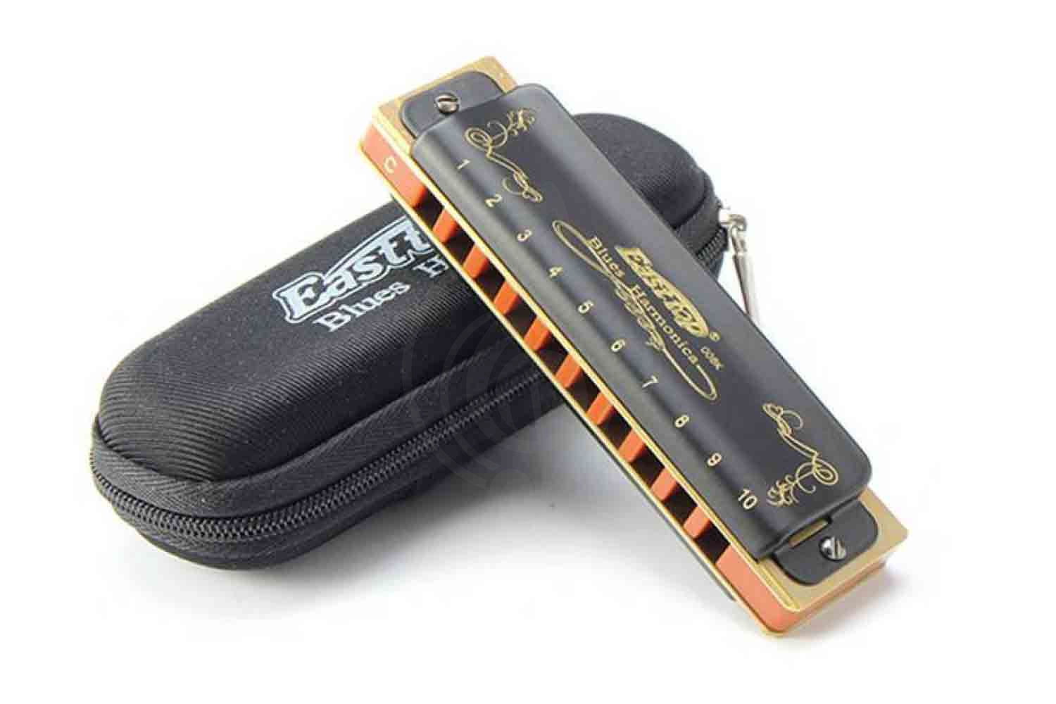 Диатоническая губная гармошка EASTTOP T008K Paddy A - Диатоническая губная гармошка - фото 6