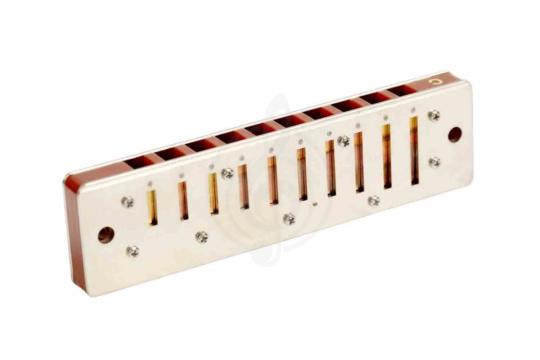 Диатоническая губная гармошка EASTTOP T008K Paddy A - Диатоническая губная гармошка - фото 5