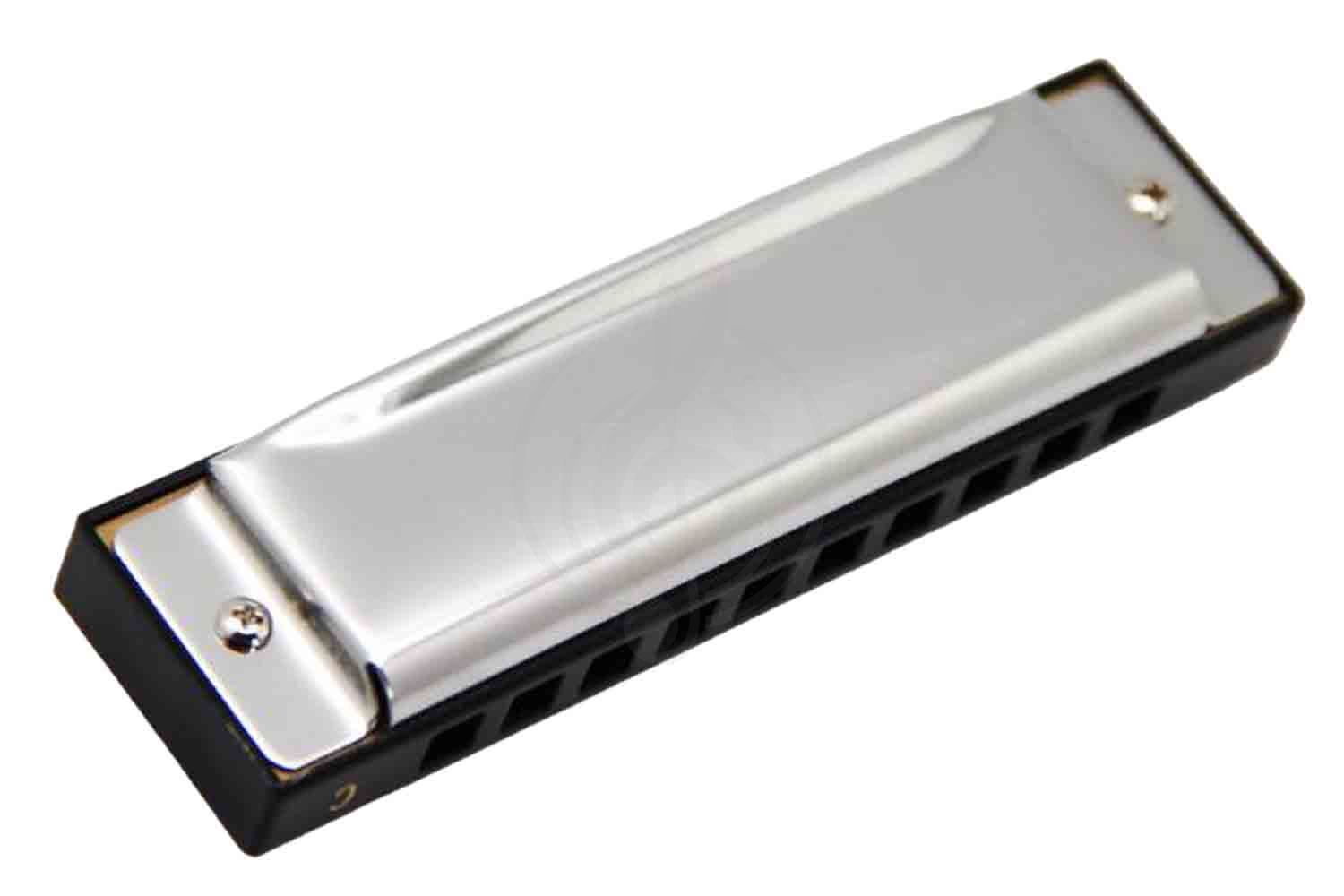 Диатоническая губная гармошка EASTTOP T10-3 A - Диатоническая губная гармошка - фото 4