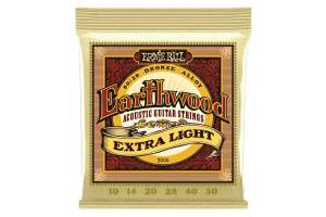 Изображение Струны для акустической гитары Ernie Ball 2006