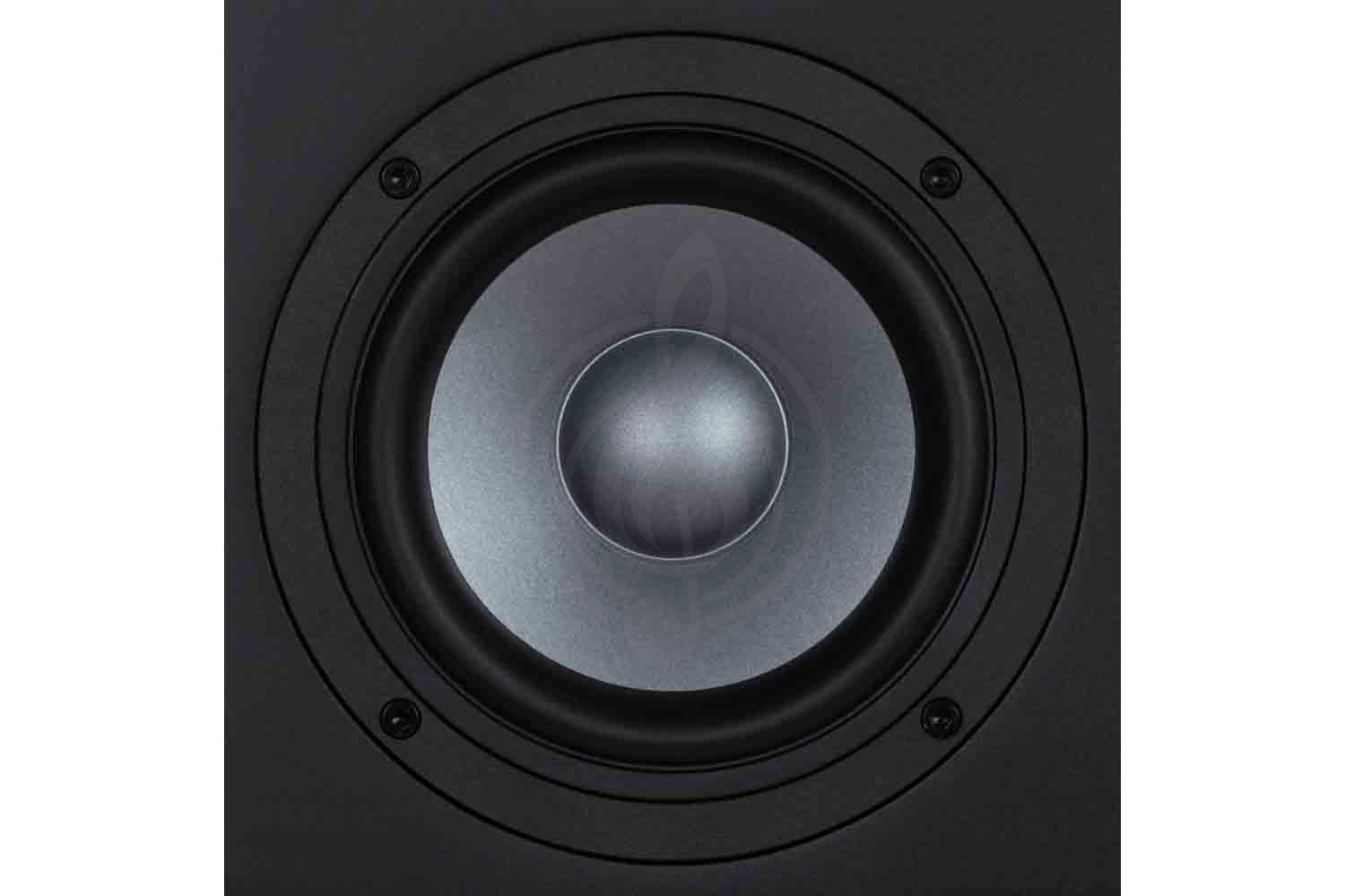 Студийный монитор EVE Audio EXO-25 - Студийный монитор, 280Вт - фото 4
