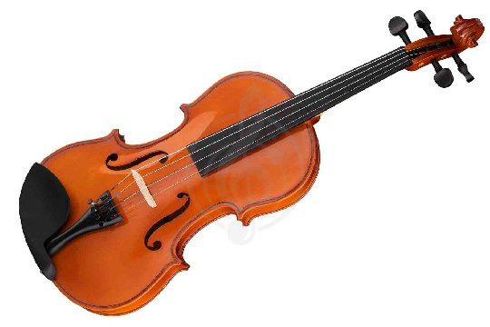Скрипка 4/4 Fleet FLT-VP4/4 - Скрипка ученическая  - фото 1